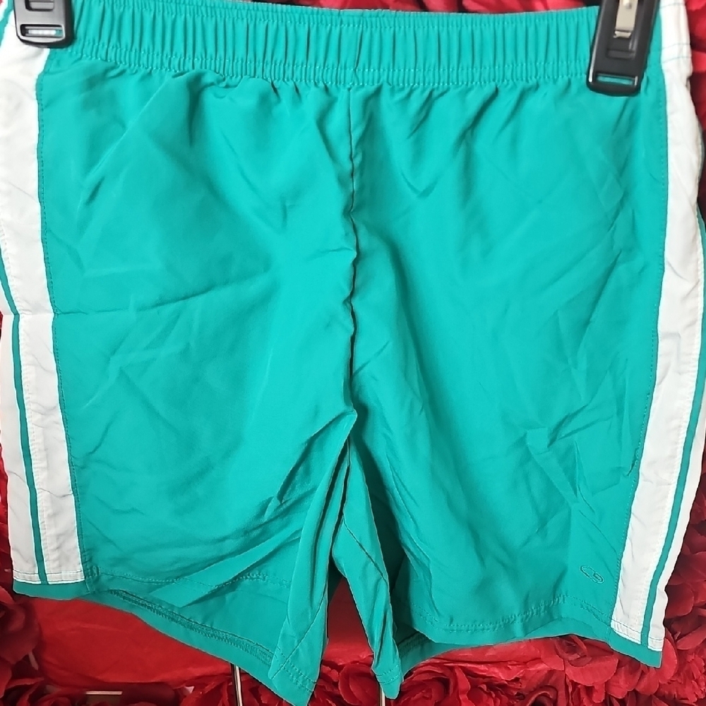 Champion Youth Teal and White Athletic Shorts Size Large